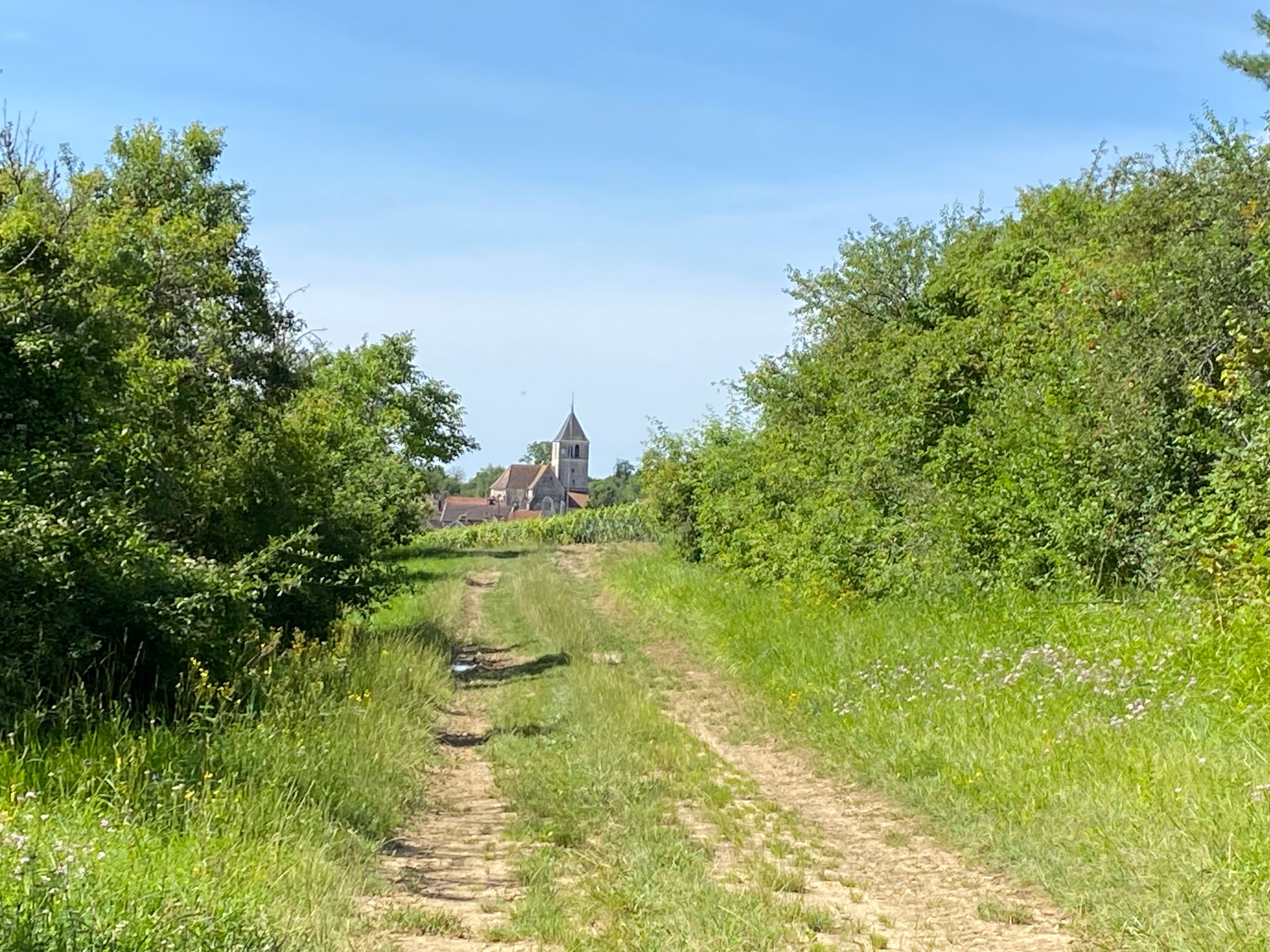 Main image - Bourgogne