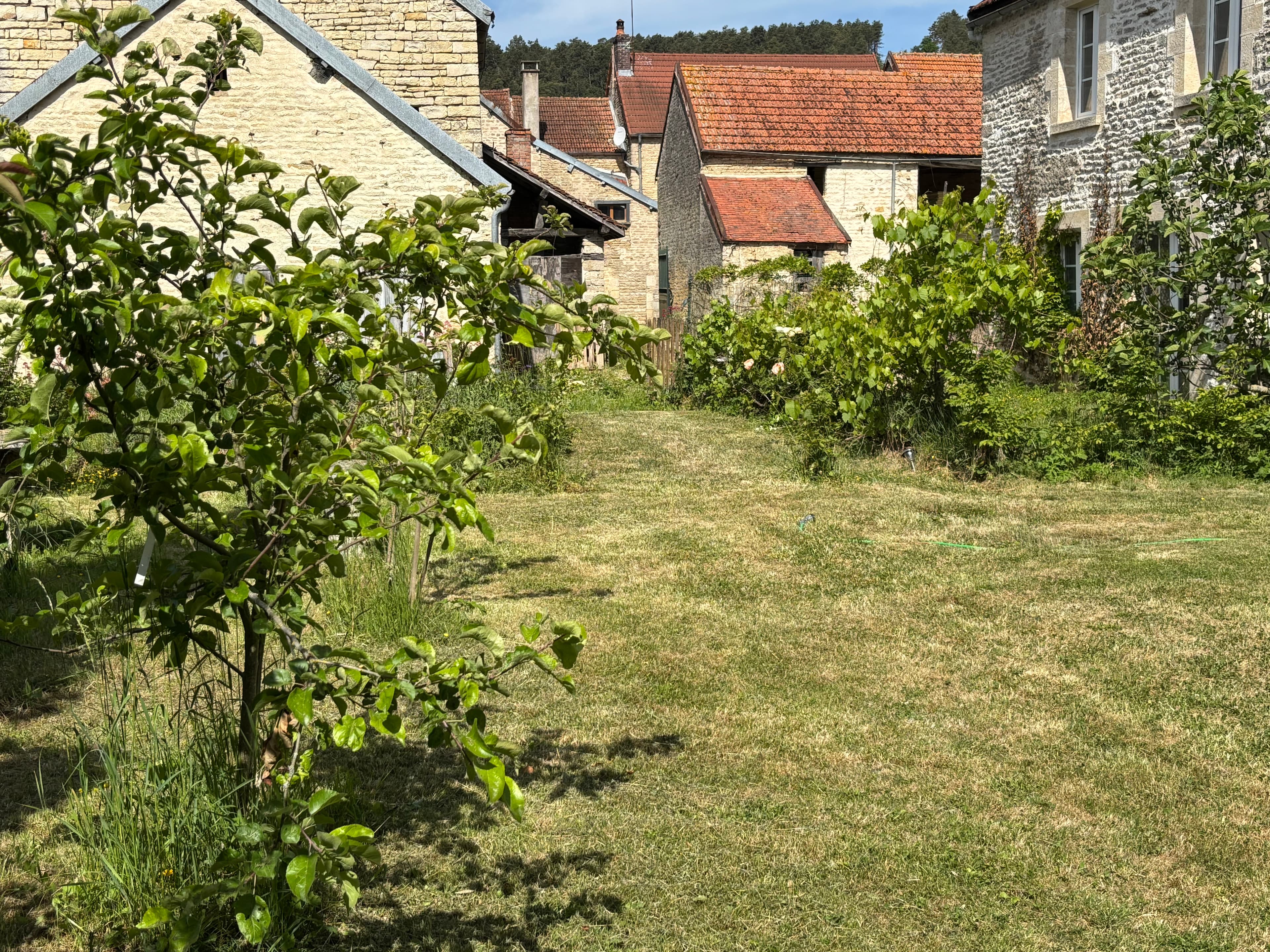 Scenic picture of the house
