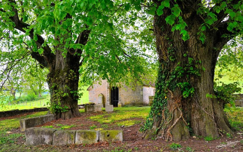 Parc Naturel du Châtillonnais  picture