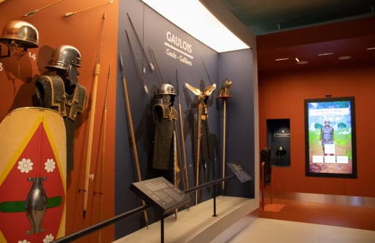 MuséoParc Alésia image